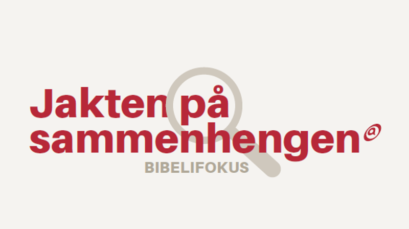 Jakten på sammenhengen - Bibel i fokus