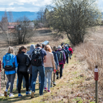 Pilegrimsvandring for barn og unge