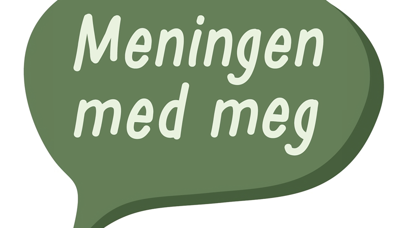 Meningen med meg