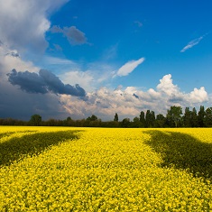 Webinar: Ukraina - Hva kan trossamfunn og organisasjoner bidra med? Del 1