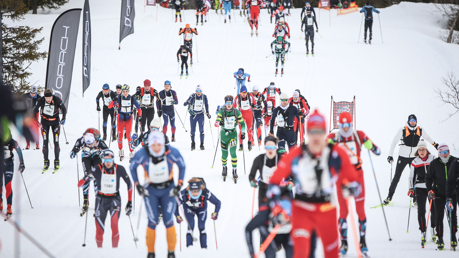 Fortsatt plass på Birken